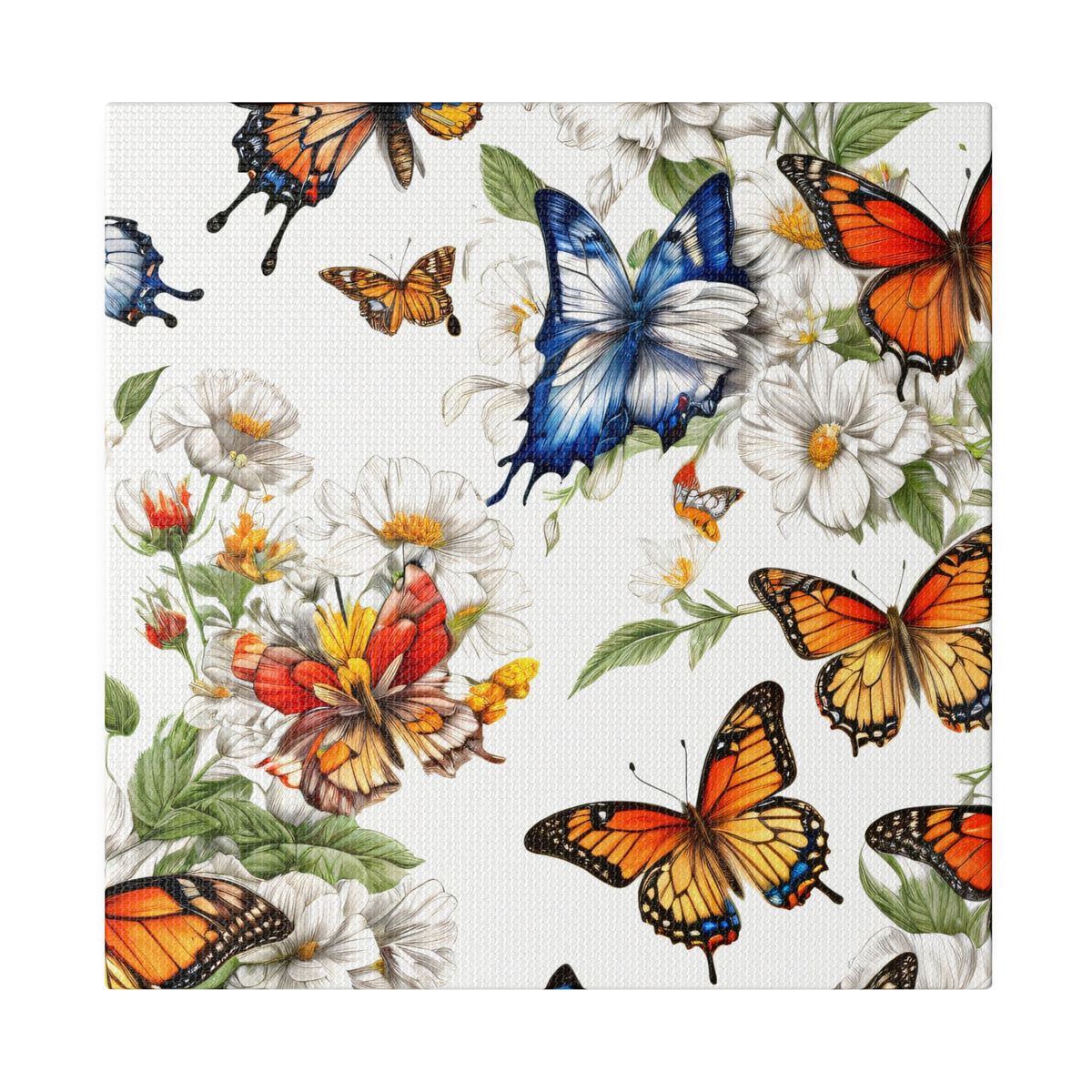 Toile mate Butterfly Prairie, tendue, 0,75"