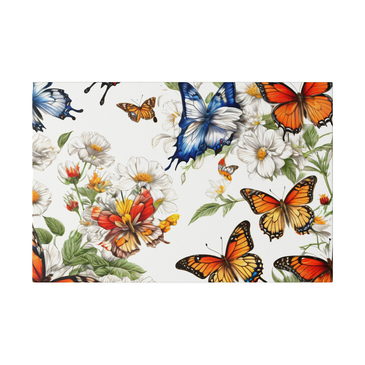 Toile mate Butterfly Prairie, tendue, 0,75"